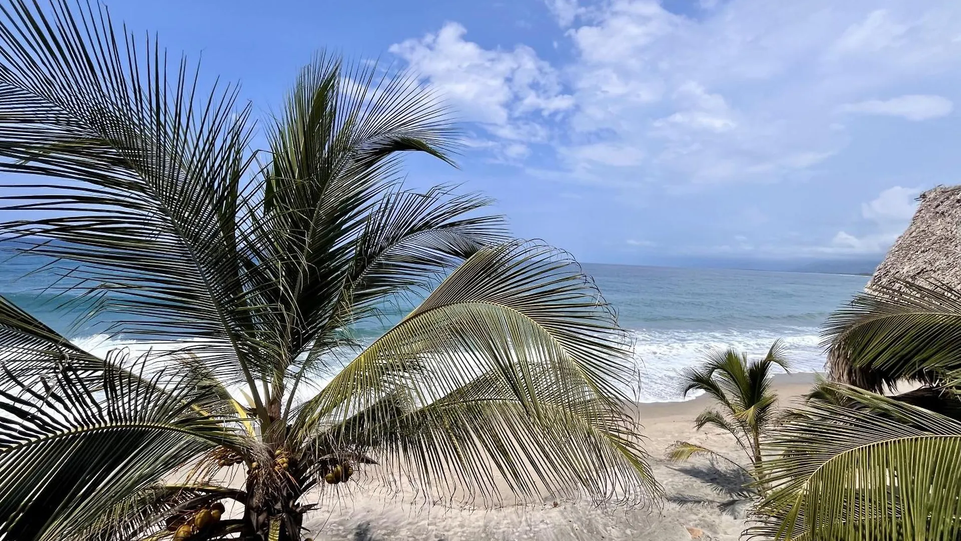 Hotel The Shark Cabana Frente Al Mar Los Naranjos